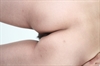Thumnail / 2 / 12 / 24