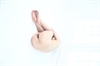 Thumnail / 2 / 12 / 24