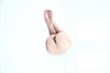 Thumnail / 2 / 12 / 24