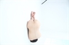 Thumnail / 2 / 12 / 24