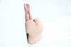 Thumnail / 2 / 12 / 24