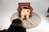 Thumnail / 2 / 12 / 51