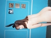 Thumnail / 2 / 14 / 19