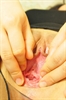 Thumnail / 2 / 15 / 26