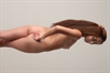 Thumnail / 2 / 15 / 37