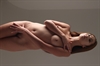 Thumnail / 2 / 15 / 37