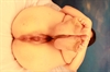 Thumnail / 2 / 16 / 31
