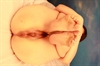 Thumnail / 2 / 16 / 31