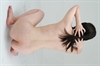Thumnail / 2 / 16 / 32