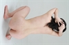 Thumnail / 2 / 16 / 32