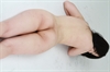 Thumnail / 2 / 16 / 32