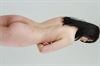 Thumnail / 2 / 16 / 32