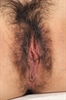 Thumnail / 2 / 18 / 15