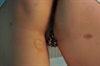 Thumnail / 2 / 20 / 03