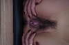 Thumnail / 2 / 20 / 23