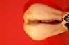 Thumnail / 2 / 20 / 40