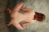 Thumnail / 2 / 21 / 00