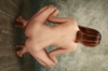 Thumnail / 2 / 21 / 00
