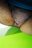 Thumnail / 2 / 21 / 21
