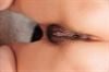 Thumnail / 2 / 21 / 75