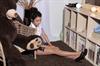 Thumnail / 2 / 21 / 87