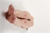 Thumnail / 2 / 22 / 05