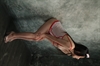 Thumnail / 2 / 22 / 92