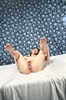 Thumnail / 2 / 23 / 29