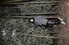 Thumnail / 2 / 25 / 42
