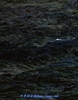 Thumnail / 2 / 26 / 03