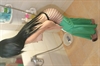 Thumnail / 2 / 27 / 24
