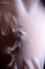 Thumnail / 2 / 28 / 98
