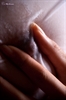 Thumnail / 2 / 28 / 98