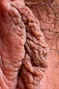 Thumnail / 2 / 29 / 06