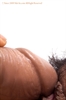 Thumnail / 2 / 29 / 06