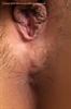 Thumnail / 2 / 29 / 06