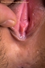 Thumnail / 2 / 29 / 06