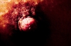 Thumnail / 2 / 29 / 08