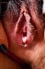 Thumnail / 2 / 29 / 08