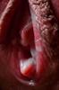 Thumnail / 2 / 29 / 08