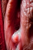 Thumnail / 2 / 29 / 08