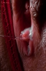 Thumnail / 2 / 29 / 08