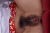 Thumnail / 2 / 29 / 10