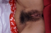 Thumnail / 2 / 29 / 10
