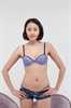 Thumnail / 2 / 29 / 43