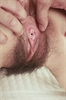 Thumnail / 2 / 30 / 06