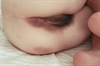 Thumnail / 2 / 30 / 06
