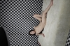 Thumnail / 2 / 30 / 38