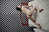 Thumnail / 2 / 30 / 38