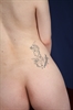 Thumnail / 2 / 31 / 10